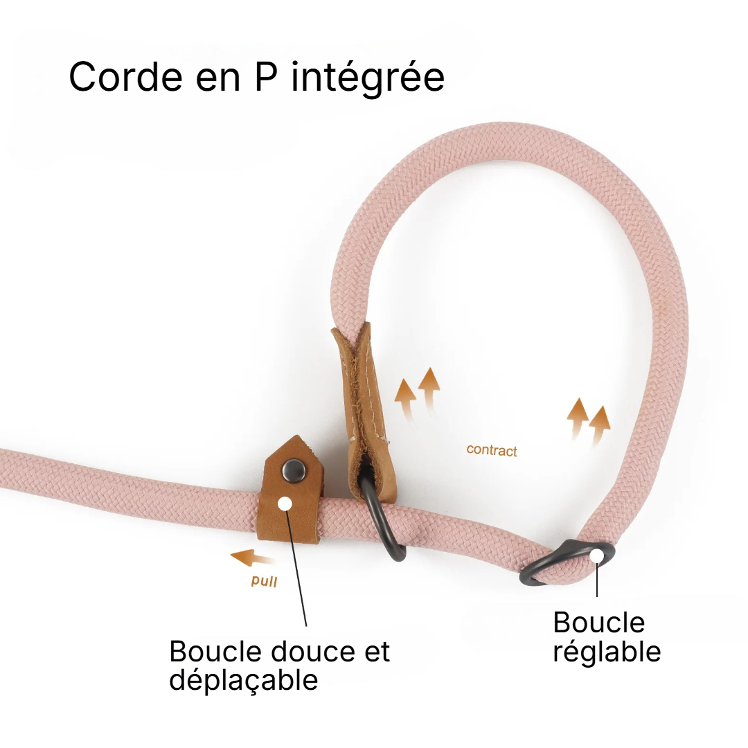 Laisse chiens |  DogRunn