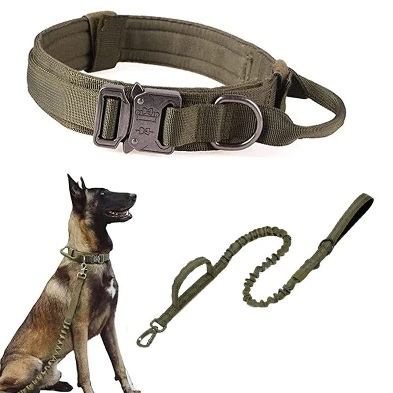 Collier de dressage pour chien | DogContrôl