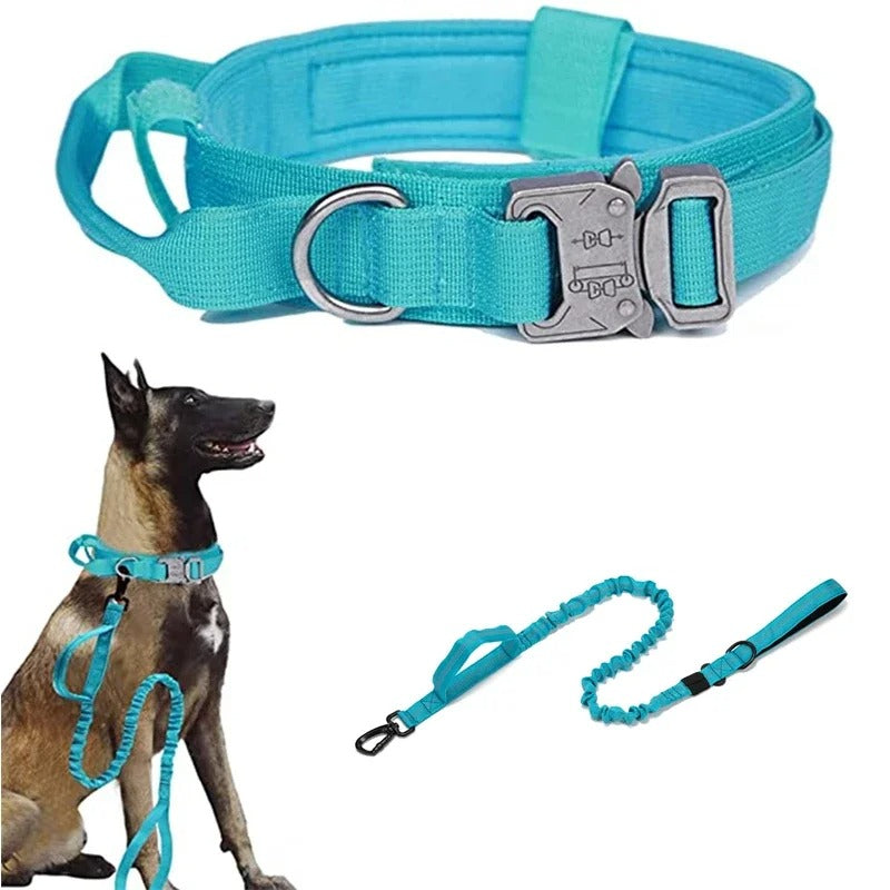Collier de dressage pour chien | DogContrôl