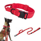 Collier de dressage pour chien | DogContrôl