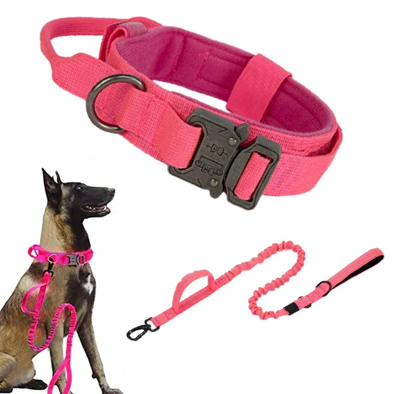 Collier de dressage pour chien | DogContrôl