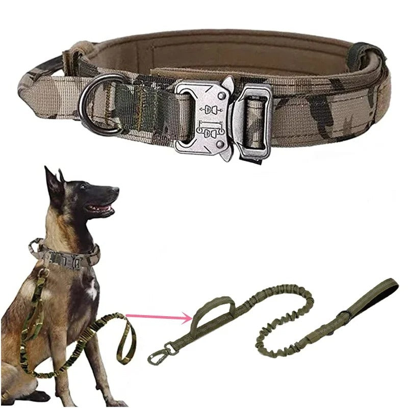 Collier de dressage pour chien | DogContrôl