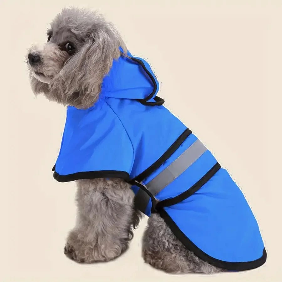 Manteau imperméable pour chien | RainDoggy