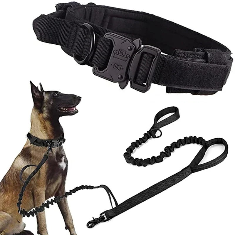 Collier de dressage pour chien | DogContrôl