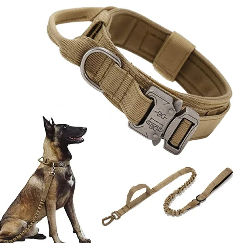 Collier de dressage pour chien | DogContrôl