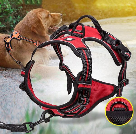 SafetyHarness™- Harnais pour animal de compagnie - TOUTOU VOYAGEUR